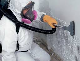  Syosset, NY Mold Removal Services Pros